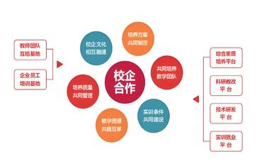 基于数据分析的就业实习管理系统与工程学院合作方案