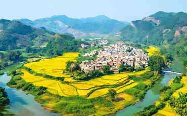 百色地区智慧校园教职工系统的落地经验分享‌