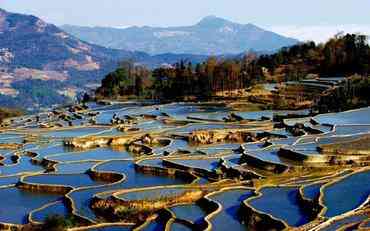 红河职业院校学工服务平台的应用实践与本土化探索‌